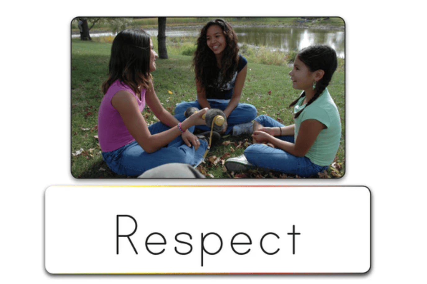 Indigenous Reflections Inc. Indigenous Picture/Language Card Sets