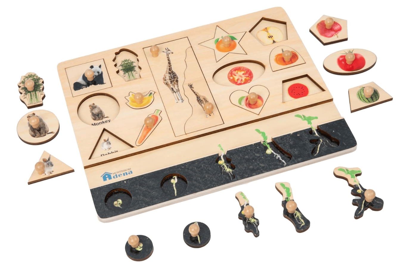 Adena Montessori Vocabulary Puzzle - Biology