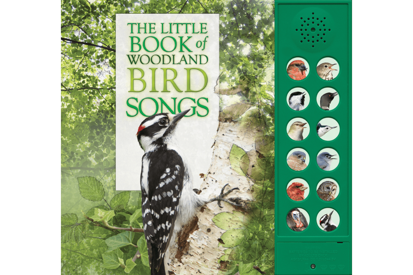 Firefly Books The Little Book of Woodland Bird Songs