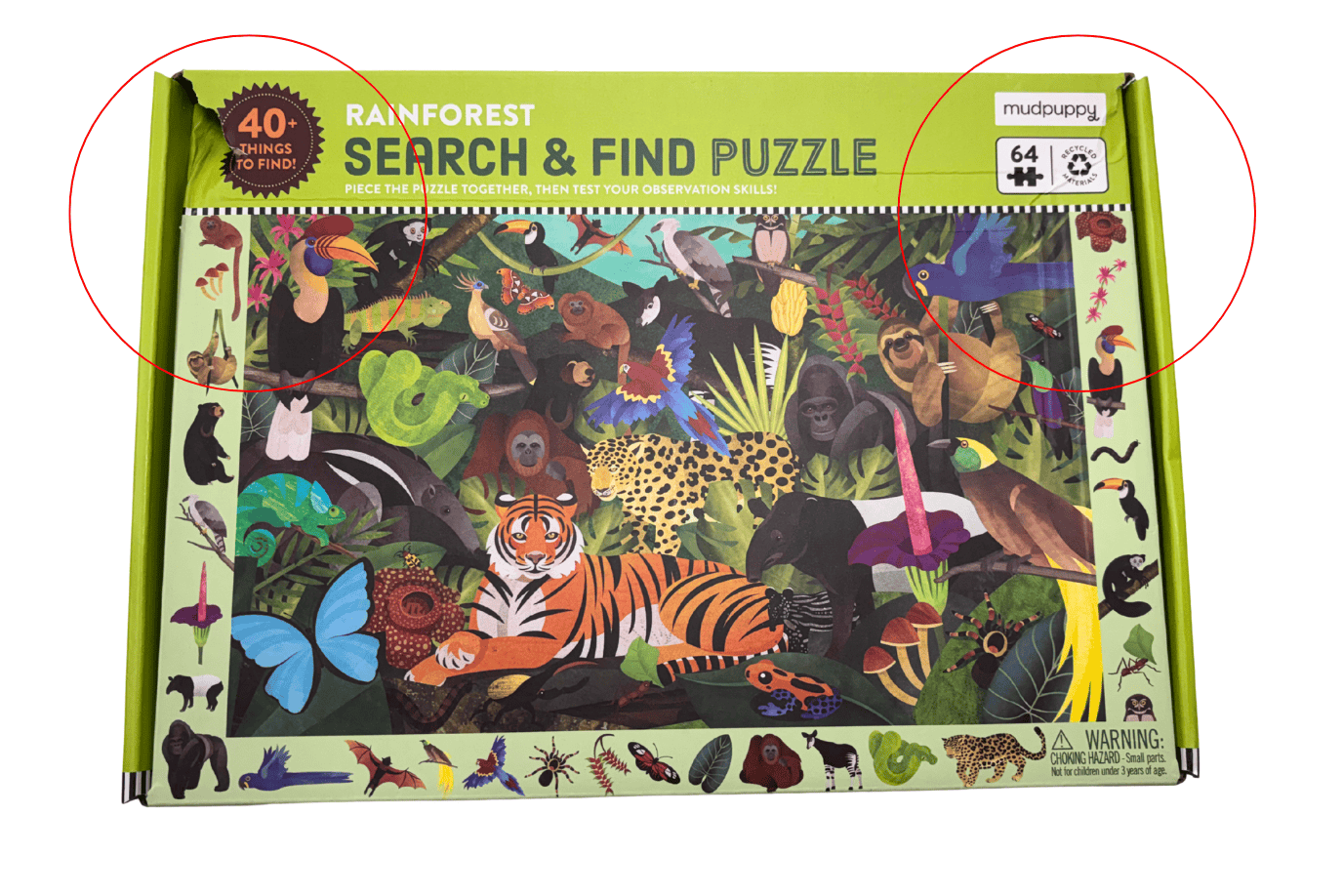 Raincoast Books Rainforest Search & Find Puzzle - Damaged Box - FINAL SALE