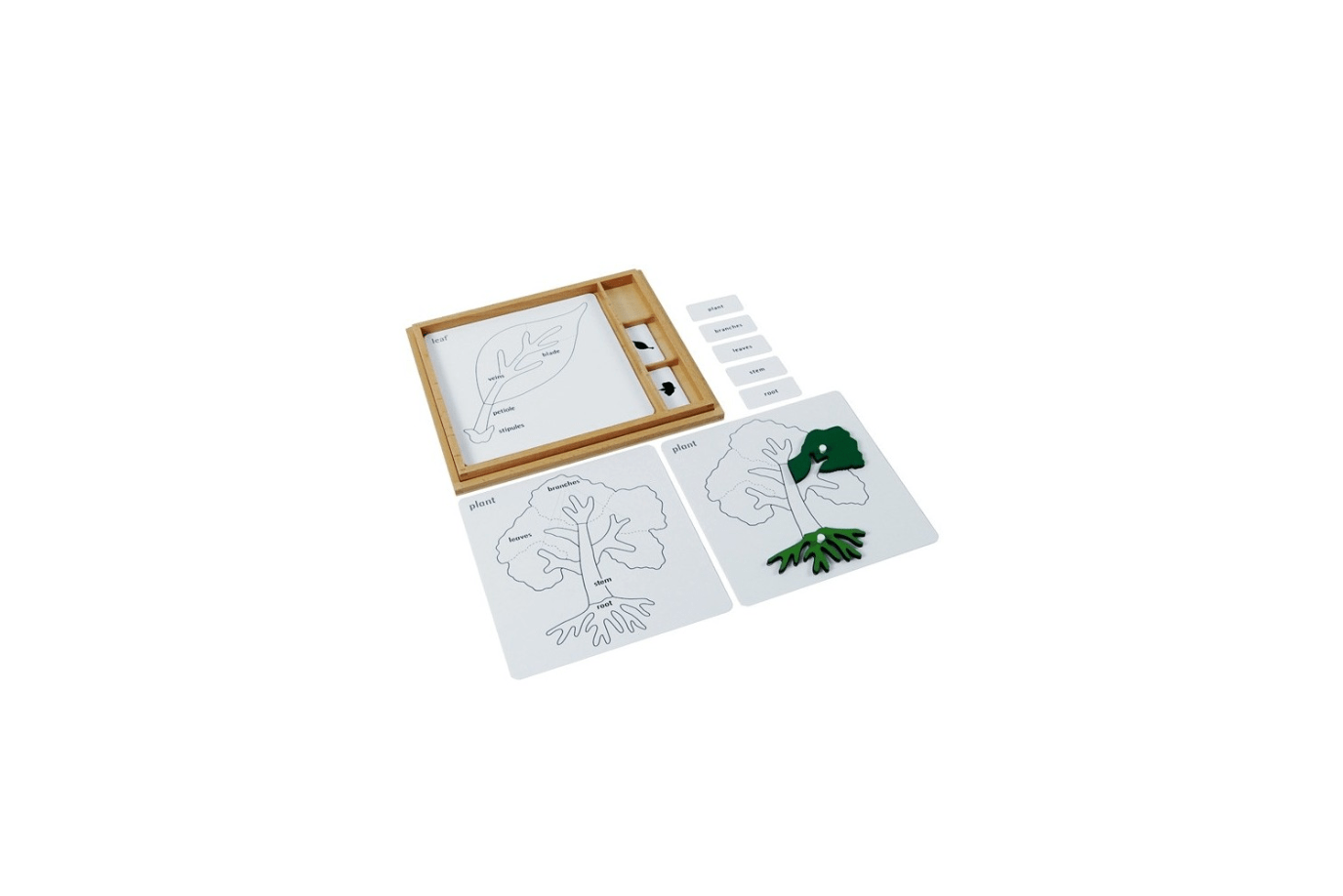 Adena Montessori Botany Puzzle Activity Set (Control Cards & Name Cards)