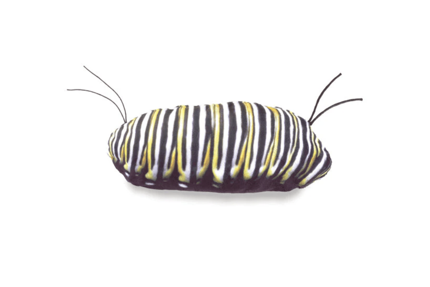 Fire The Imagination Monarch Butterfly Life Cycle Puppet
