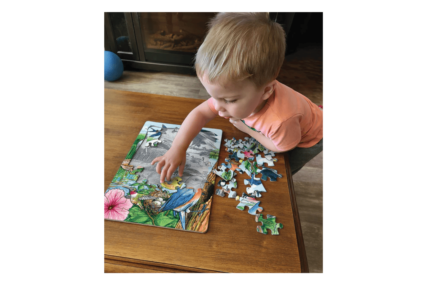 Outset Media 35 Piece Tray Puzzles (Multiple Themes)