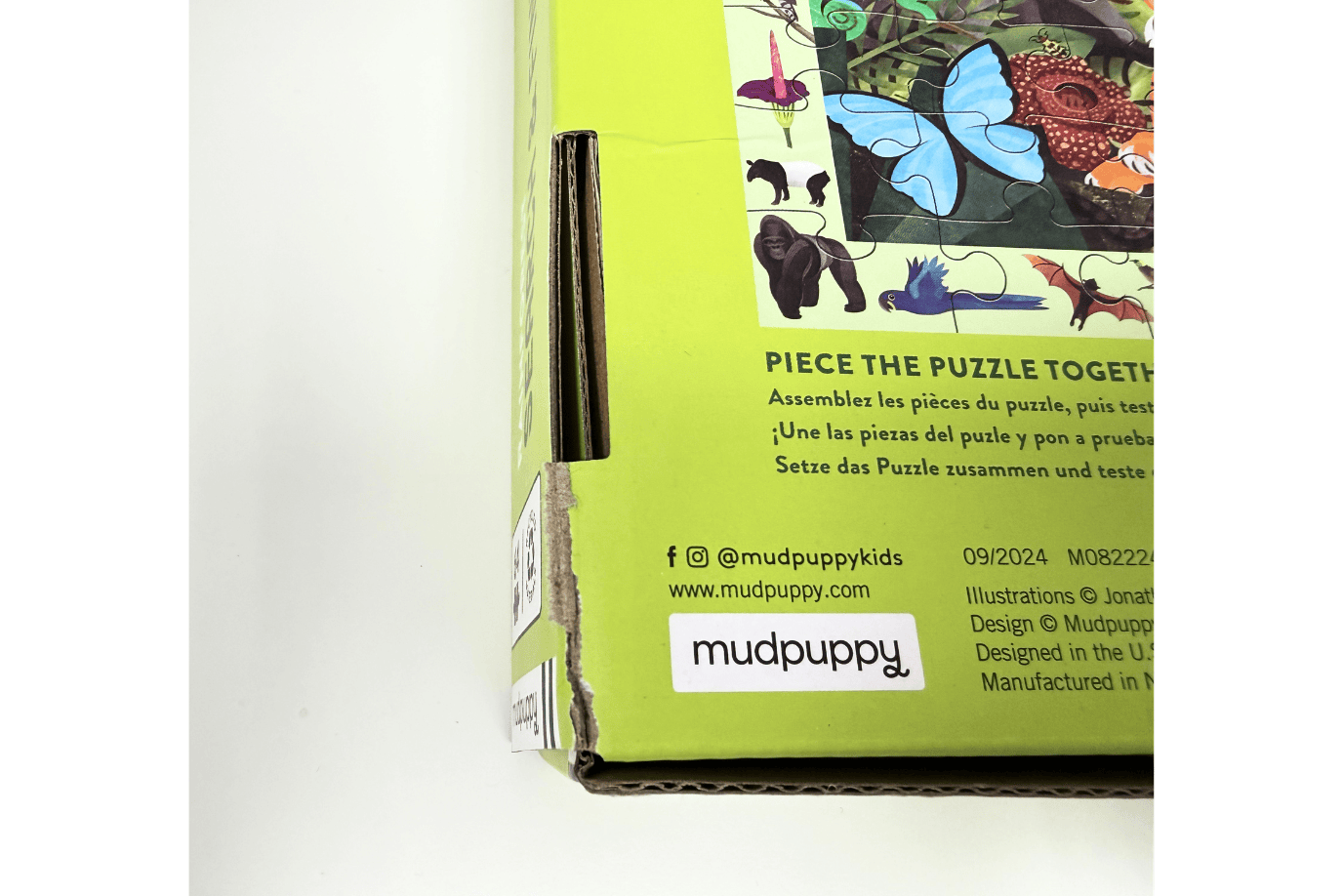 Raincoast Books Rainforest Search & Find Puzzle - Damaged Box - FINAL SALE