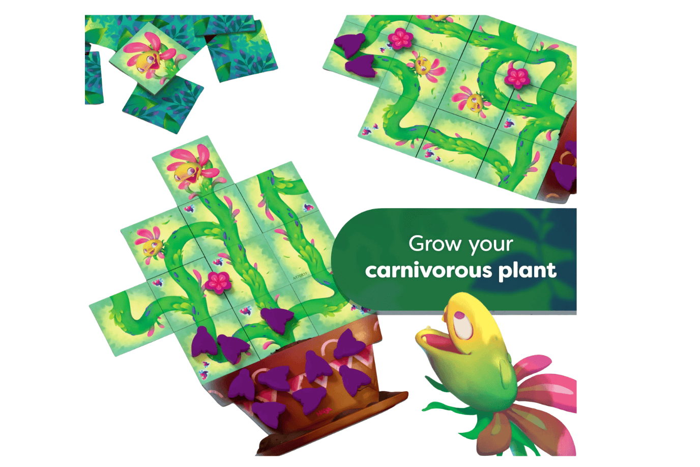 Haba Carni Flora- Tile Placement Game