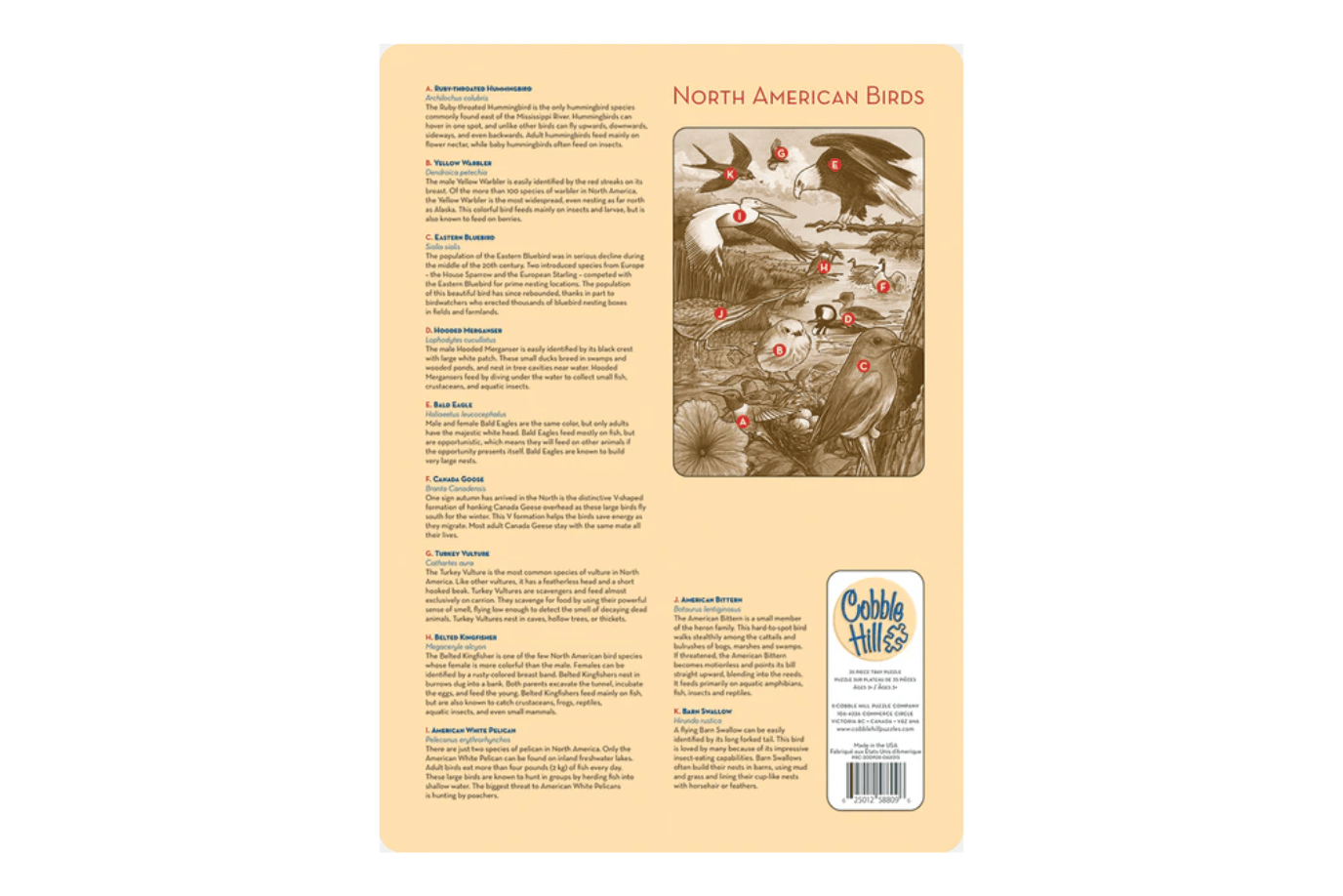 Outset Media 35 Piece Tray Puzzles (Multiple Themes)