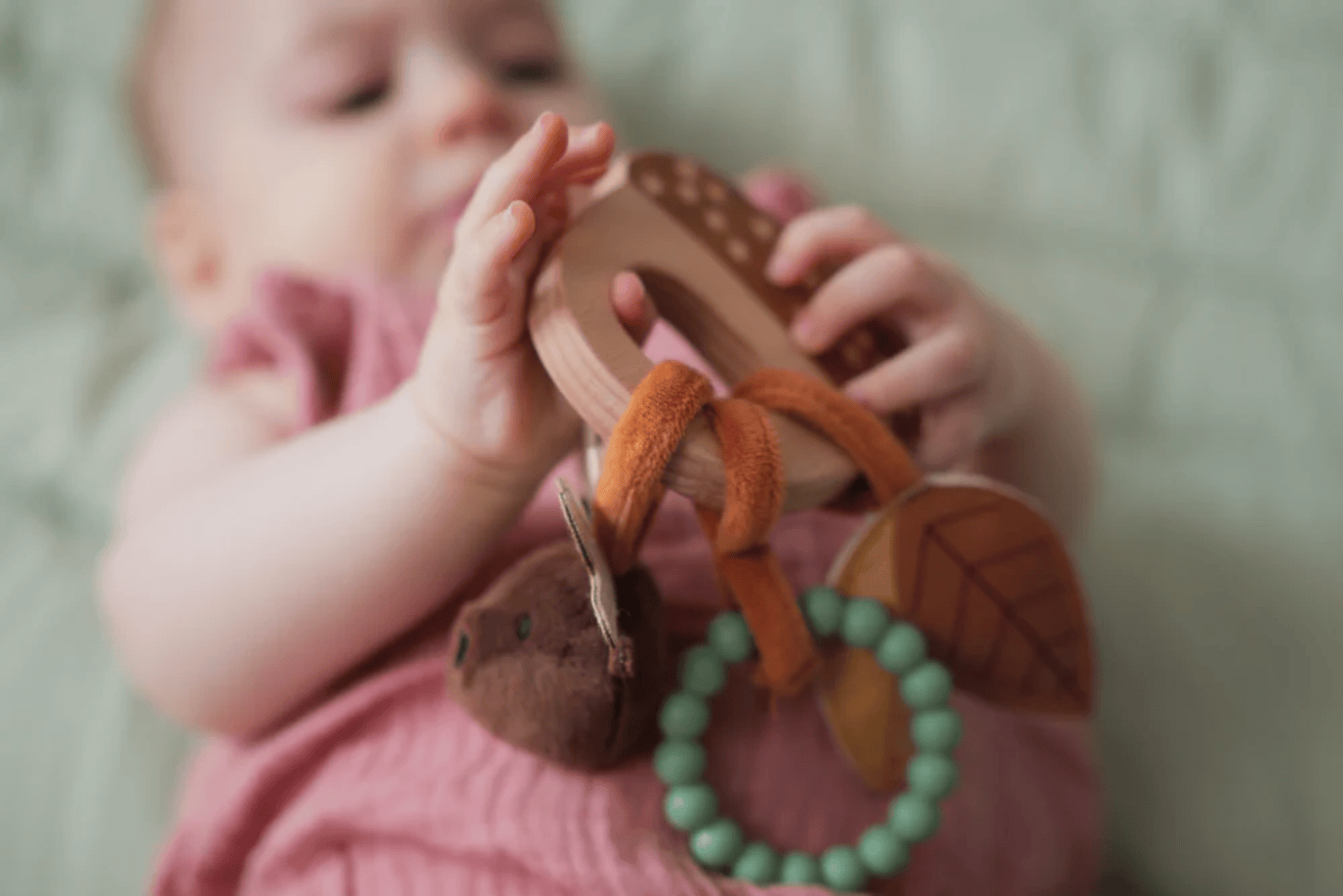 PJM Distributions Inc. Acorn Rattle