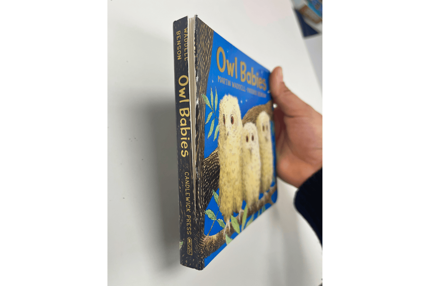 Penguin Random House Owl Babies by Martin Waddell - Damaged Spine - FINAL SALE