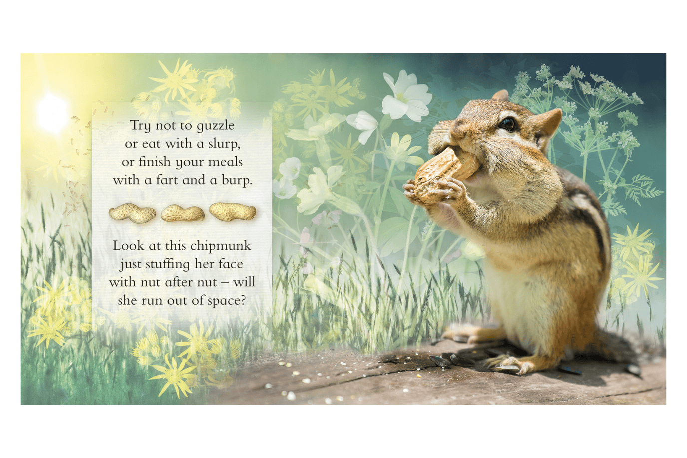 Firefly Books Feeling Hungry: Mealtimes Made Easy With Your Animal Friends