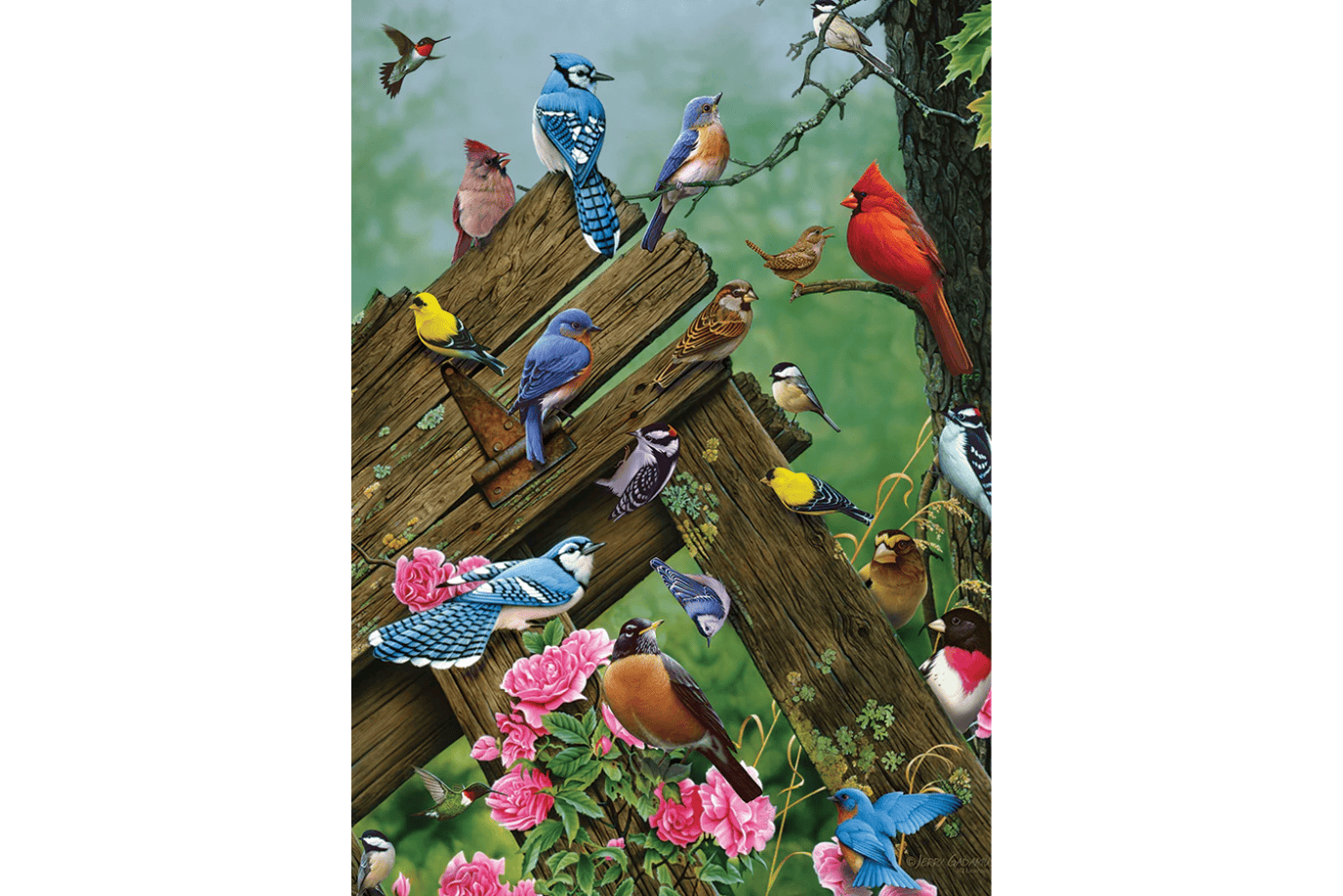 Outset Media Wildbird Gathering 35 Piece Tray Puzzles (Multiple Themes)