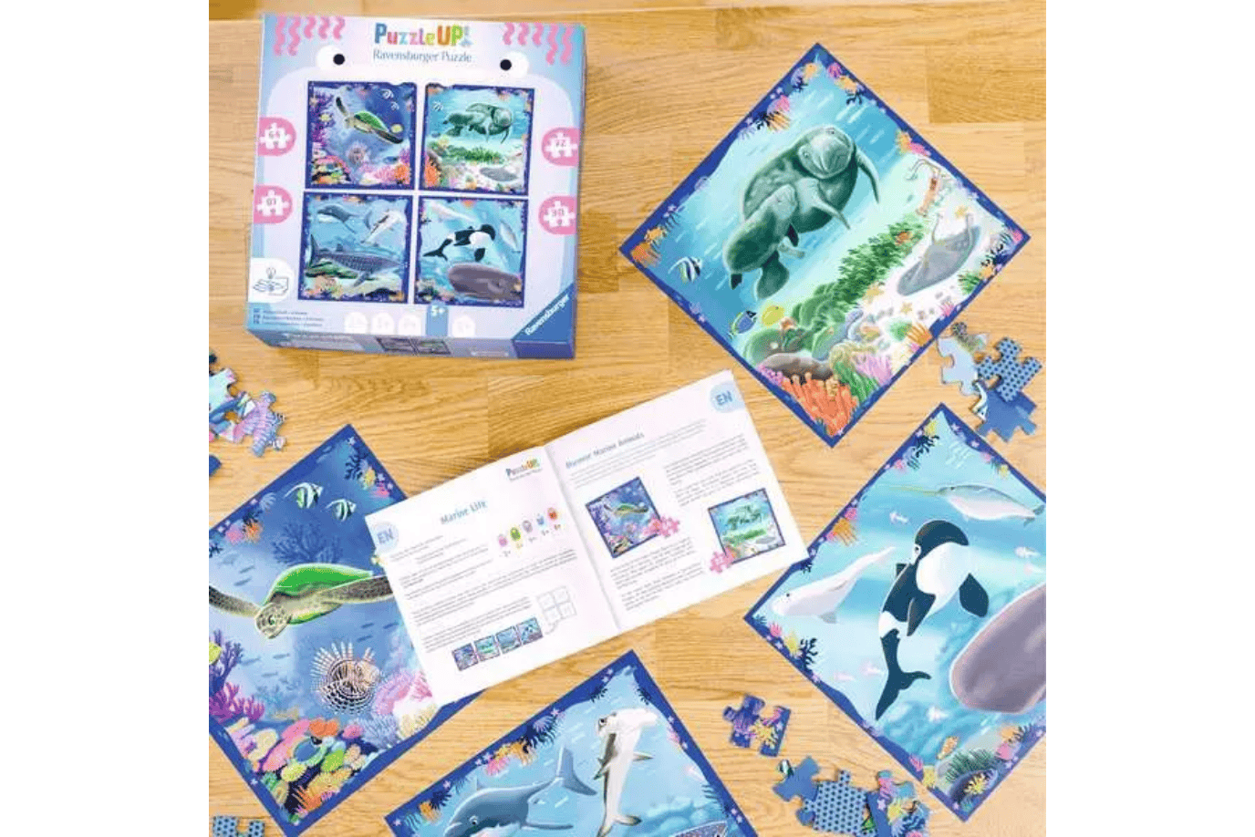 Puzzle UP! Ocean Life - 64, 72, 81, and 90 Piece Puzzles