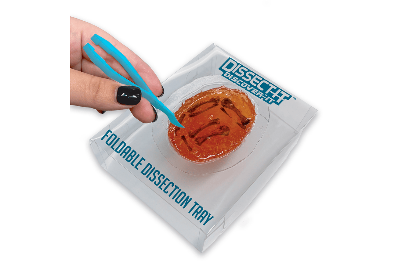 K.I.D. Toys Inc. Dissect It - Discover Kit