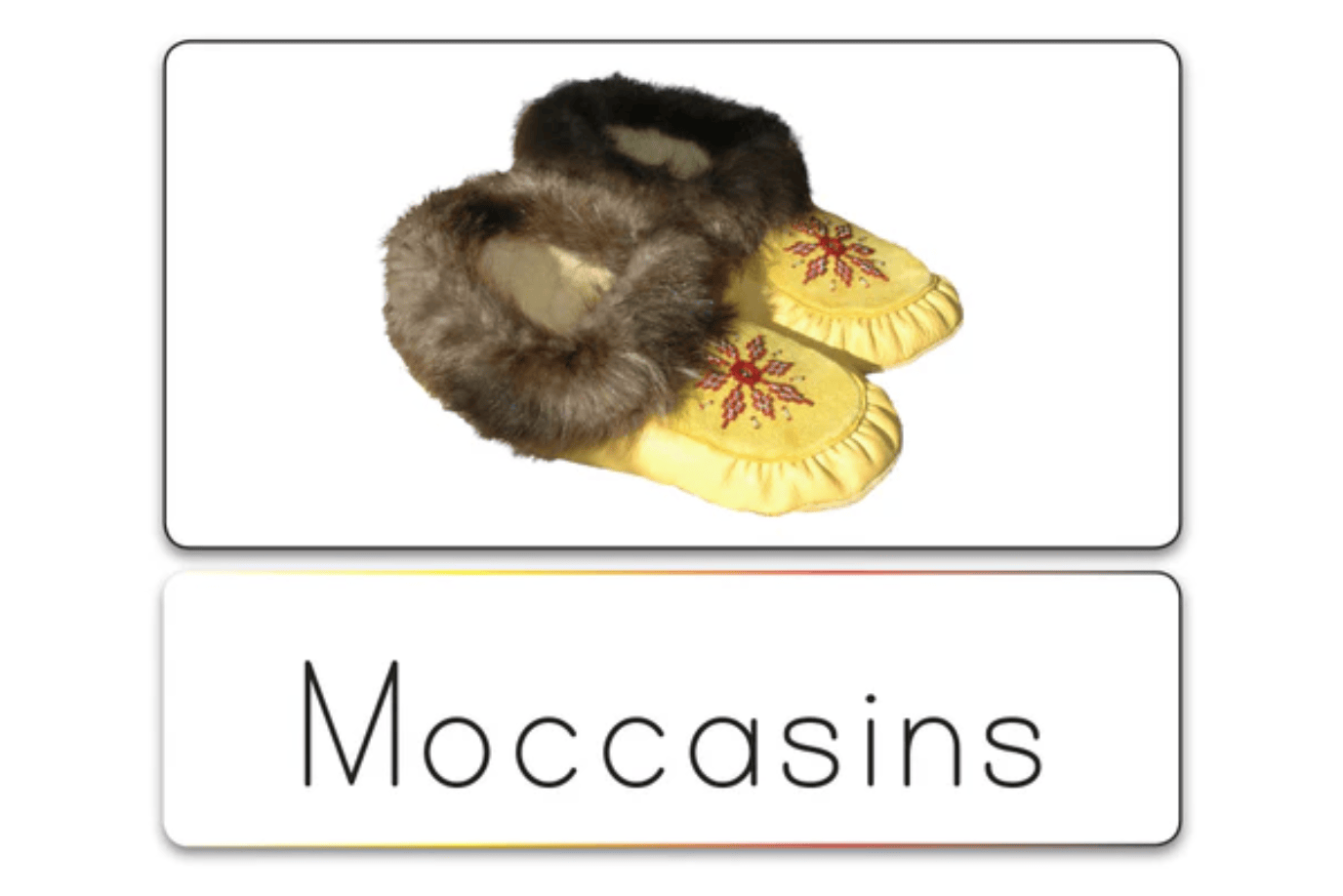 Indigenous Reflections Inc. Indigenous Picture/Language Card Sets