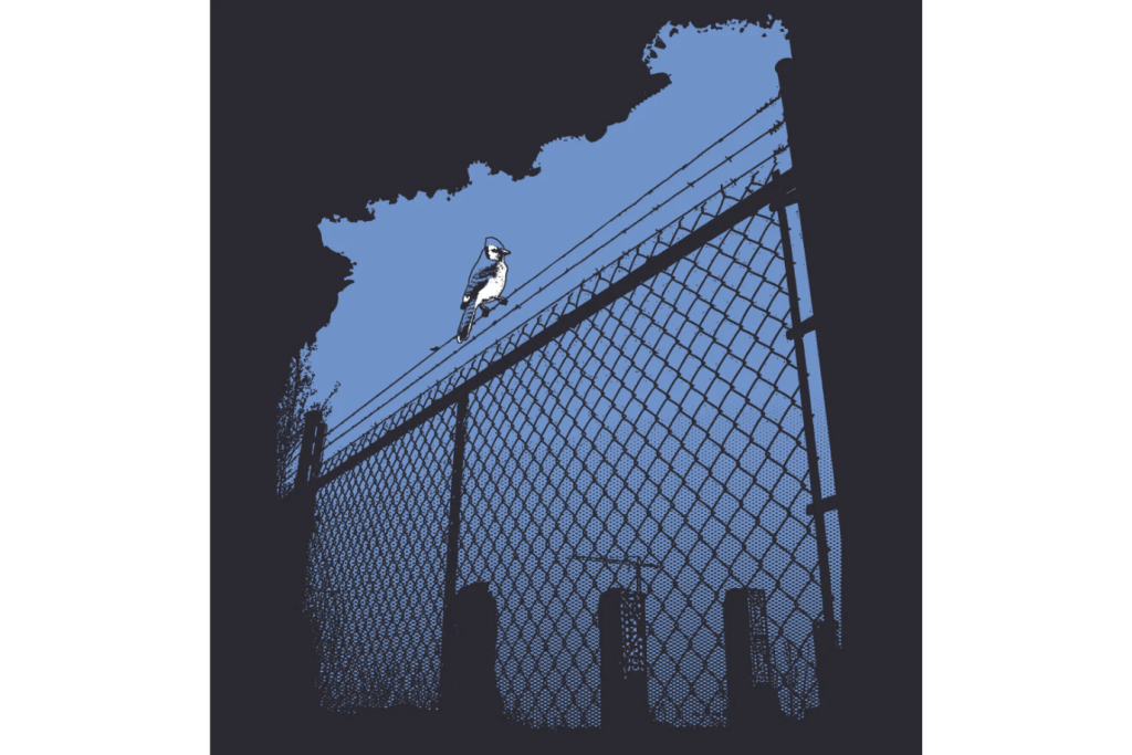 Blue Jay Kids T-Shirt