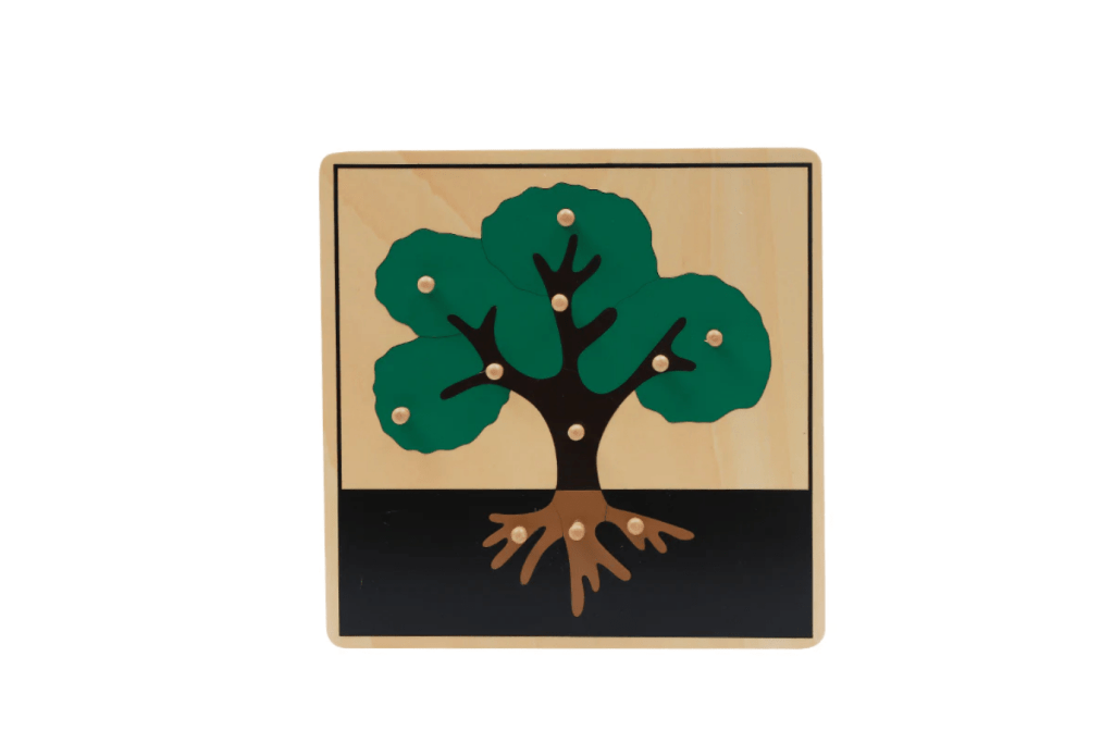 Botany Puzzle - Tree, Montessori Biology Materials, Casa classroom materials, budget-friendly Montessori materials, The Montessori Room, Toronto, Ontario, Canada.