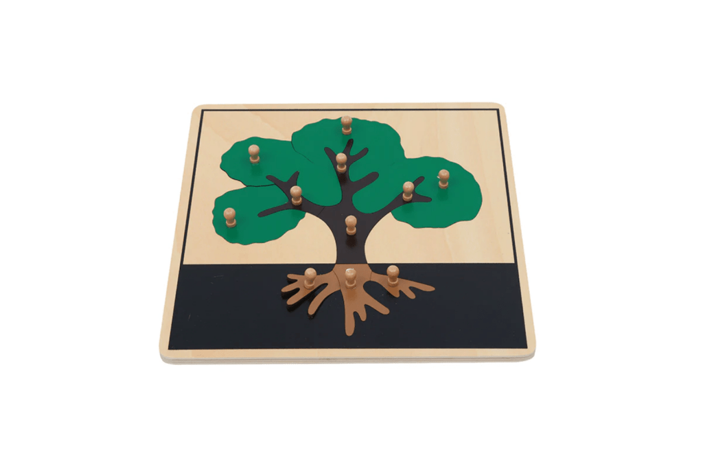 Botany Puzzle - Parts of a Tree