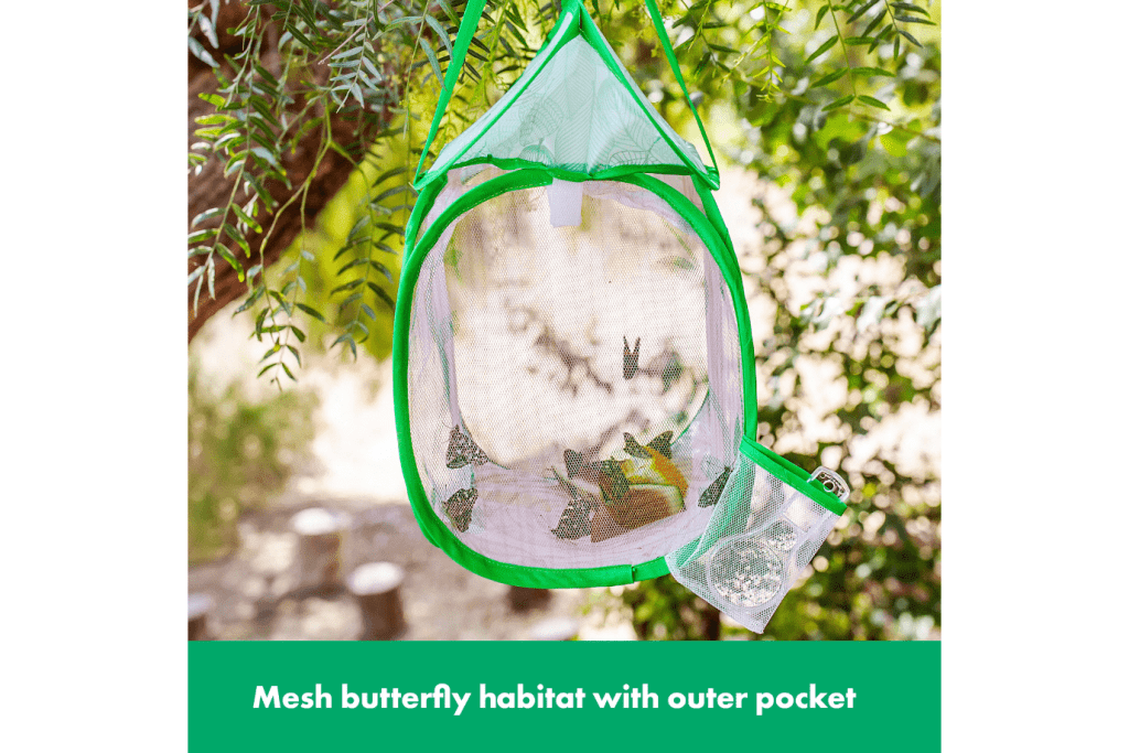 Butterfly Habitat