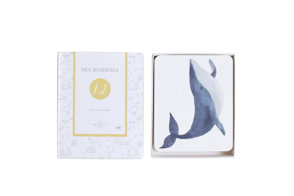 Nomenclature Cards (Multiple Themes Available)