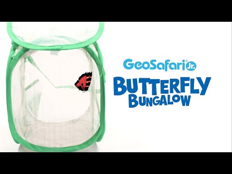 Butterfly Habitat