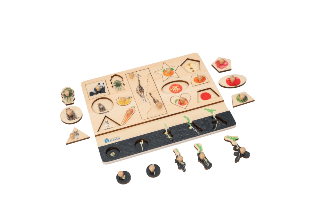 Vocabulary Puzzle - Biology, Adena Montessori, peg puzzles, wooden puzzles, Montessori puzzles, The Montessori Room, Toronto, Ontario, Canada.