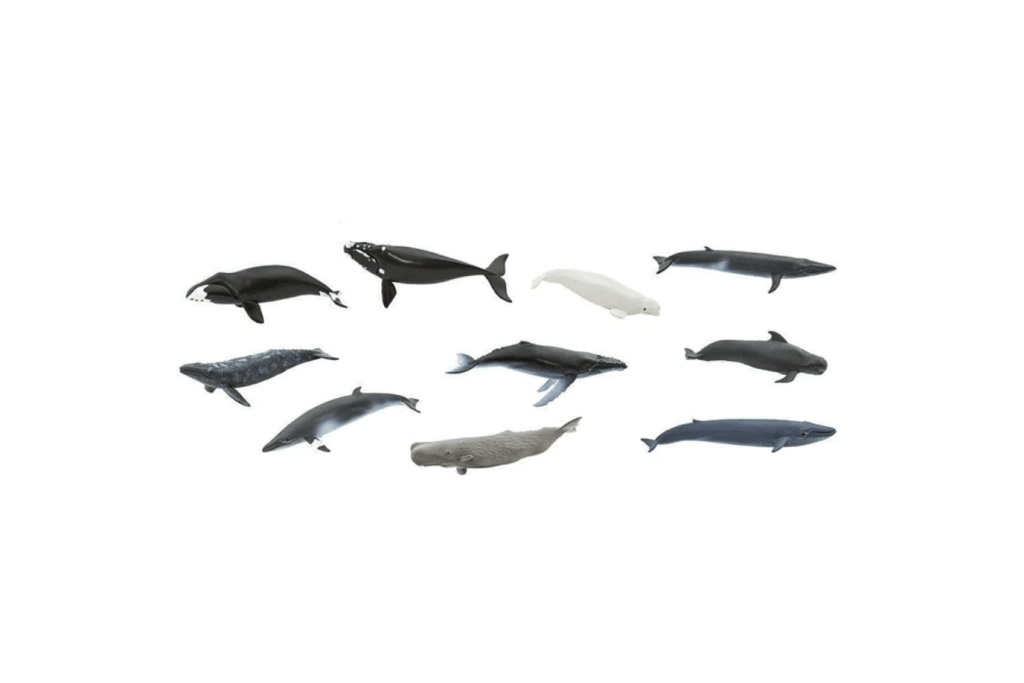 Whales Toob®