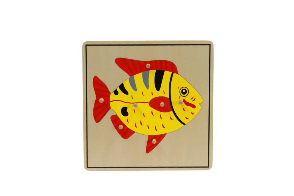 Zoology Puzzle - Parts of the Fish, Montessori classroom materials, Casa Biology Materials, budget-friendly Montessori materials, The Montessori Room, Toronto, Ontario, Canada.