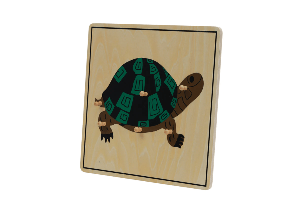 Zoology Puzzle - Parts of the Turtle