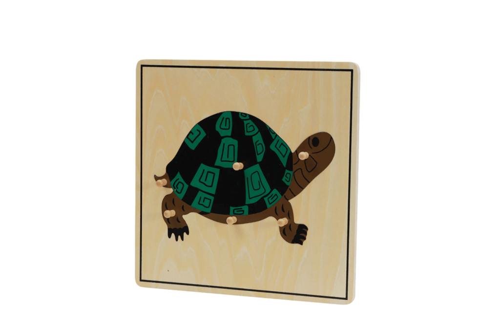 Zoology Puzzle - Parts of the Turtle, Montessori classroom materials, Casa Biology materials, budget-friendly Montessori materials, The Montessori Room, Toronto, Ontario, Canada.