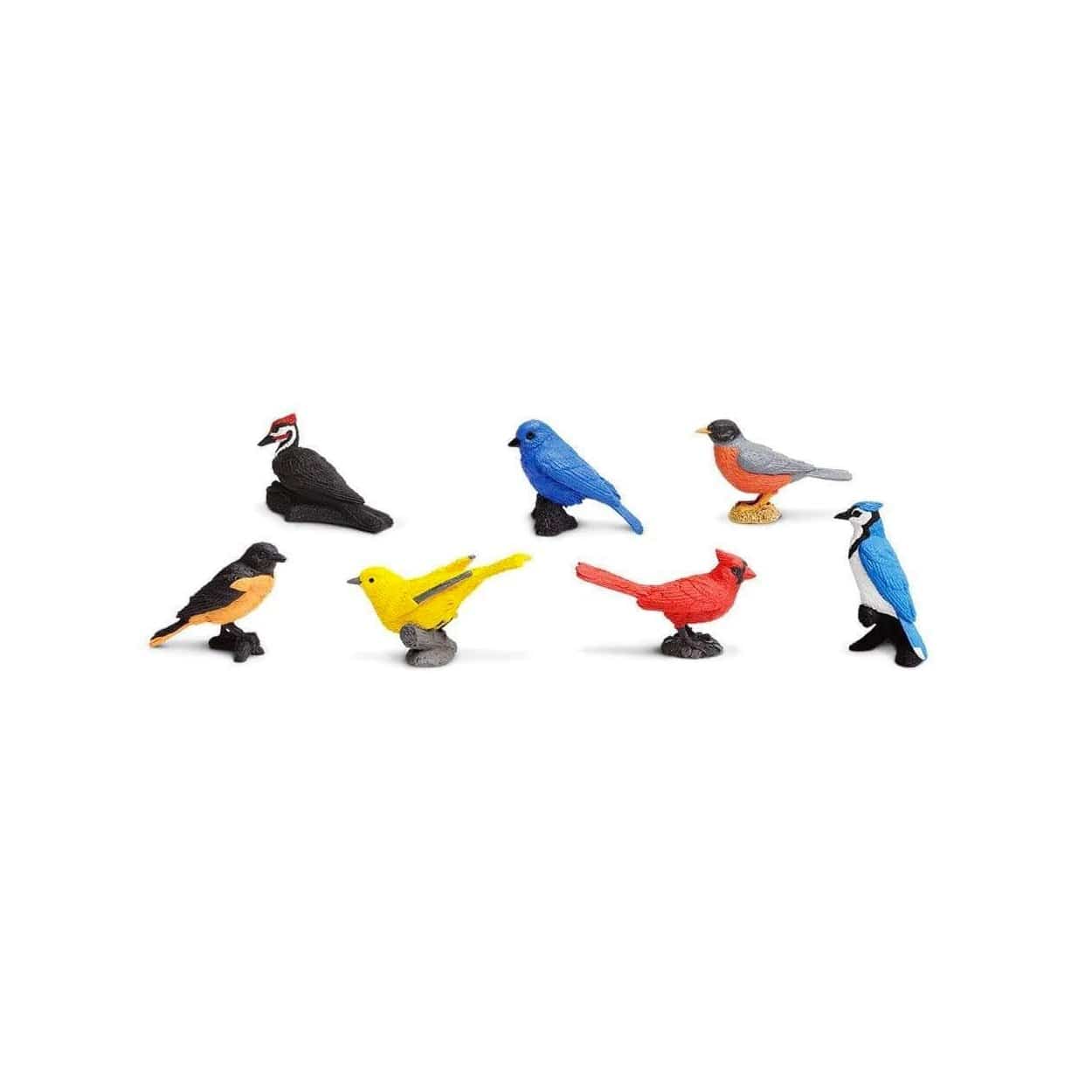Backyard Birds Toob® - The Montessori Room
