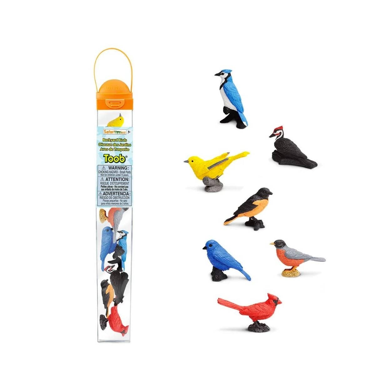 Backyard Birds Toob® - The Montessori Room, Safari toys, fine motor skills, bird figures, plastic bird figures for kids, educational toys, backyard birds, science toys, best toys, gift ideas for kids, Toronto, Ontario, Canada
