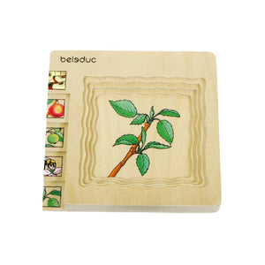 Beleduc Layer Puzzle - Lifecycle of an Apple - The Montessori Room