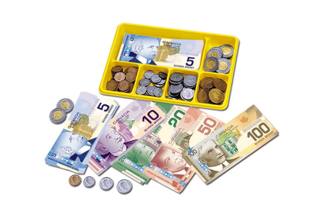 Learning Resources Canadian Currency-X-Change, Pretend Play Money for Kids, Develops Sorting and Money Skills, 211 Pieces, Ages 5+, CANADIAN CURRENCY X-CHANGE ACTIVITY SET – LEARNING RESOURCES, pretend Canadian money, play money Canadian dollars, pretend money Canadian money, Toronto, Canada