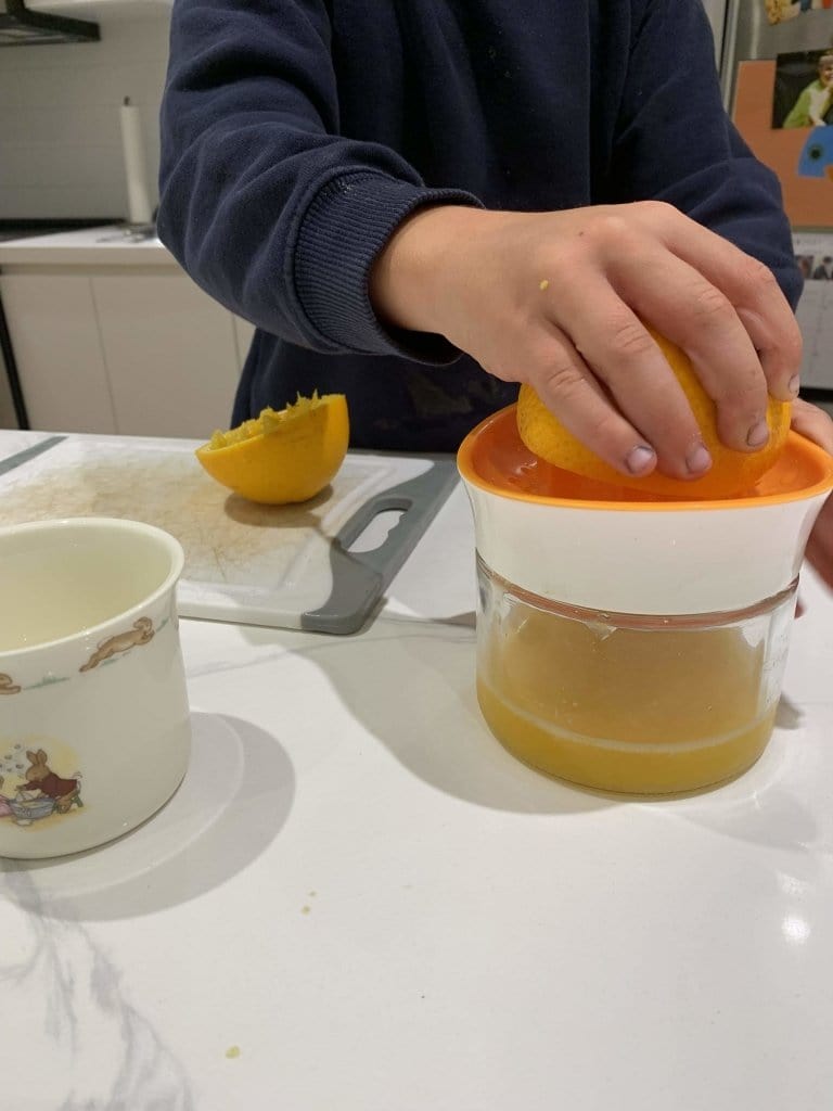 Citrus Juicer and Glass - The Montessori Room