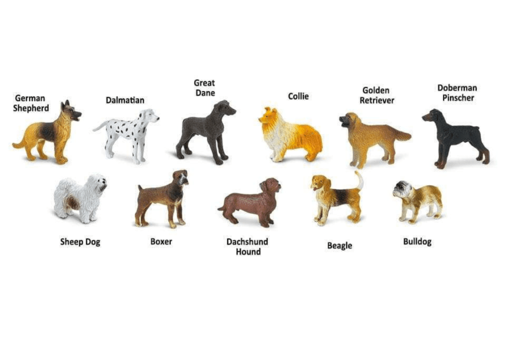 Dogs TOOB®