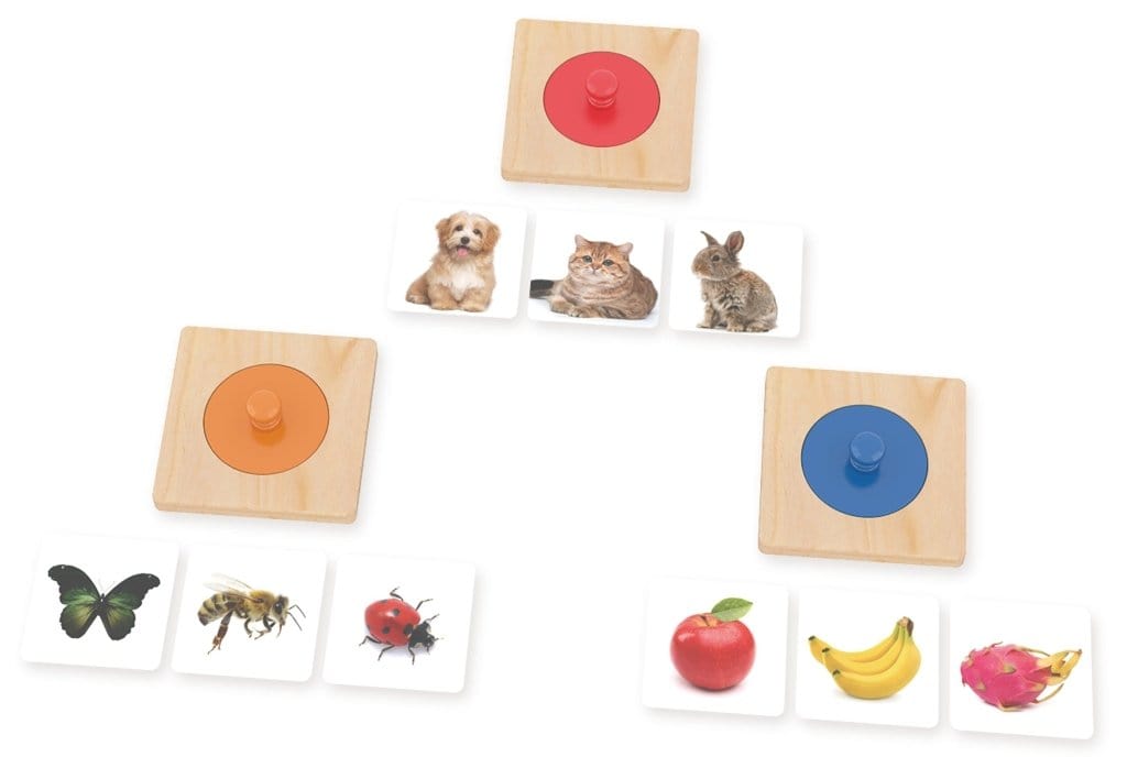 Guess Who Knob Puzzles by Educare, 6 months and up, 9 interchangable image cards included: pet-themed, insect-themed and fruit-themed, peg puzzle for infants and toddlers,  wooden peg puzzles for infants and toddlers, fine motor skills, Montessori infant puzzle, fine motor skills, hand-eye coordination and language skills, The Montessori Room, Toronto, Ontario, Canada.