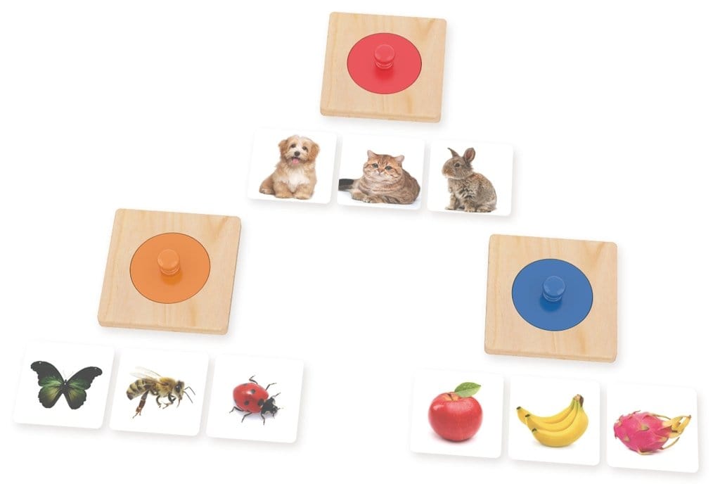 Guess Who Knob Puzzles by Educare, 6 months and up, 9 interchangable image cards included: pet-themed, insect-themed and fruit-themed, peg puzzle for infants and toddlers,  wooden peg puzzles for infants and toddlers, fine motor skills, Montessori infant puzzle, fine motor skills, hand-eye coordination and language skills, The Montessori Room, Toronto, Ontario, Canada. 