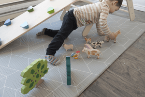 Holztiger Triceratops - The Montessori Room