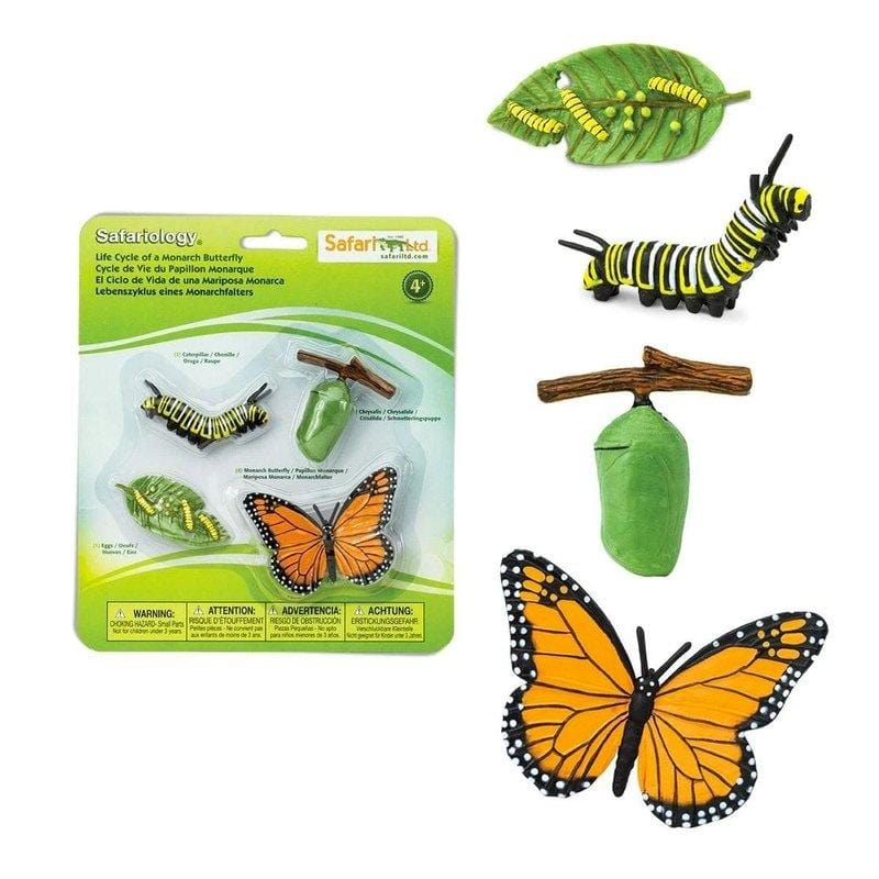 Life Cycle Of A Monarch Butterfly - The Montessori Room - Safari Ltd Toys, Toronto, Ontario, Canada, science toys, educational toys, stages of butterfly, plastic animals, plastic butterfly, Montessori materials, Montessori toys