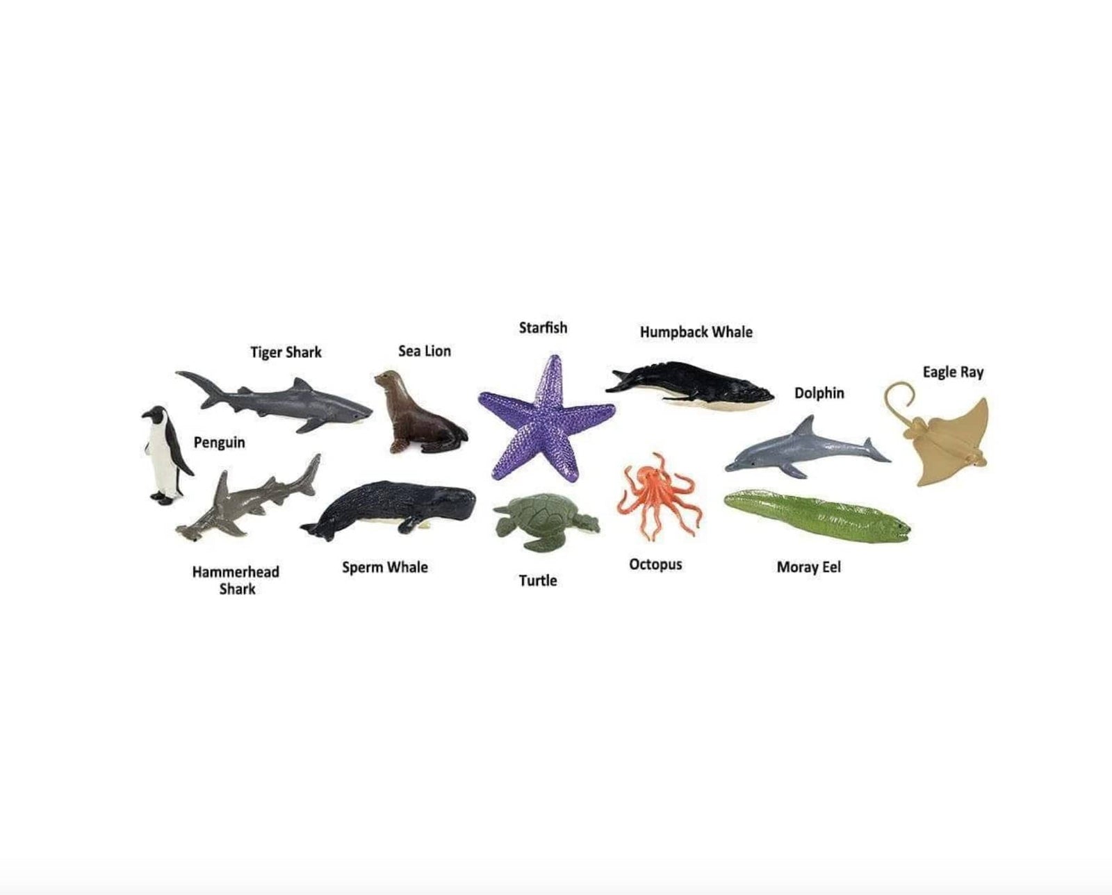 Ocean Toob® - The Montessori Room
