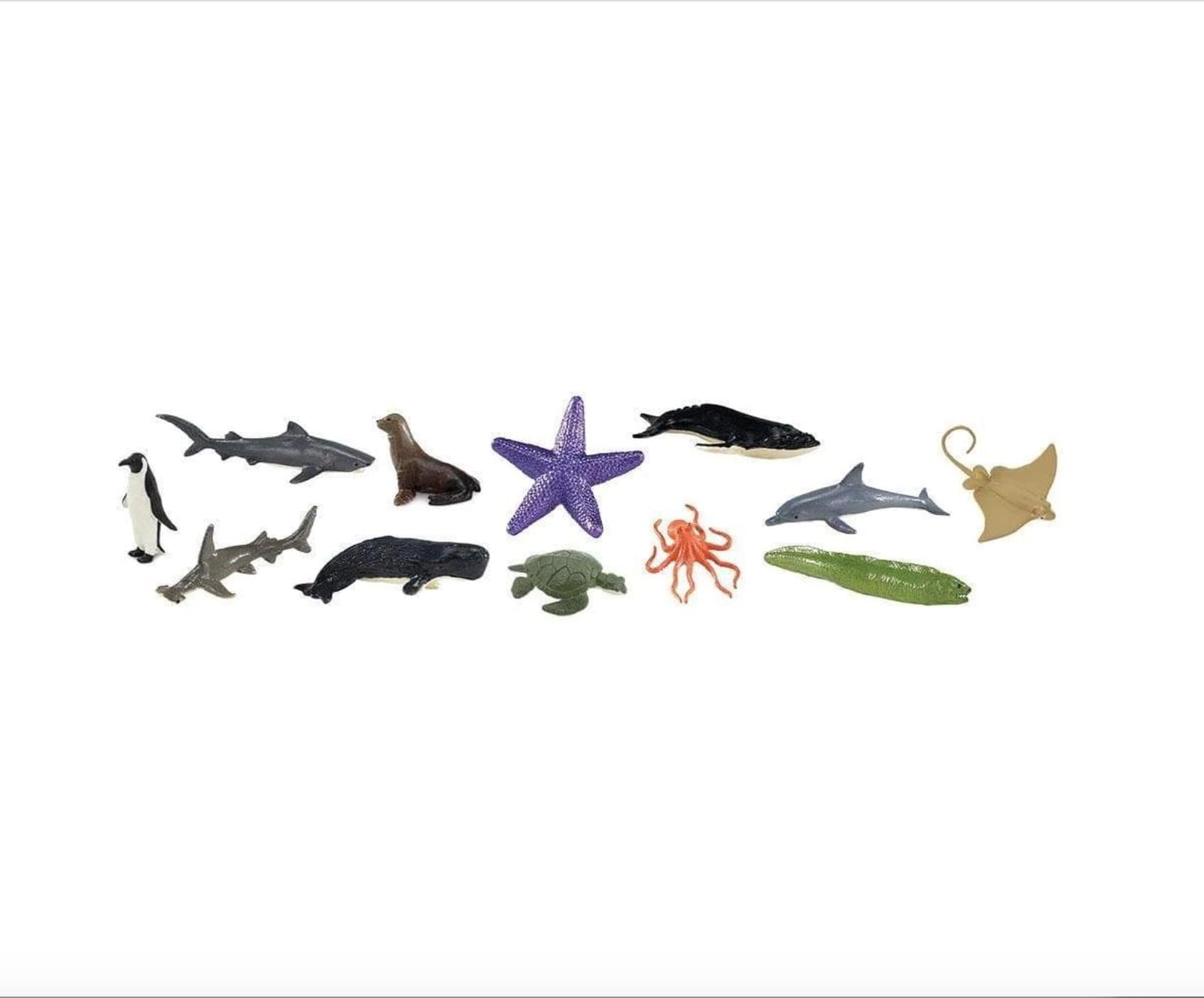 Ocean Toob® - The Montessori Room