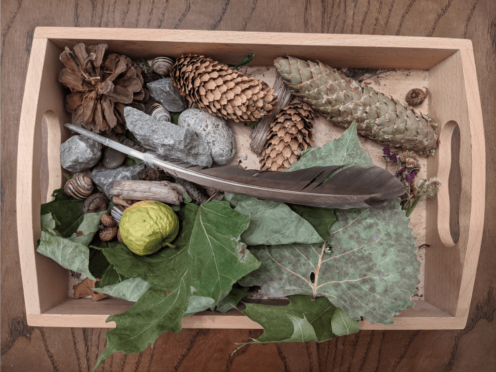 12 Fall Montessori Activities You Can Do At Home | The Montessori Room