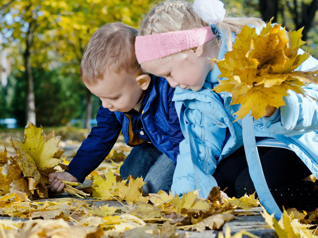 5 of our Favourite Montessori Activities with Fallen Leaves