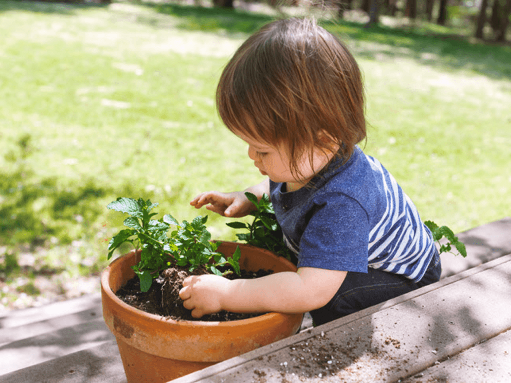 Montessori Gardening Activities for Infants + Children