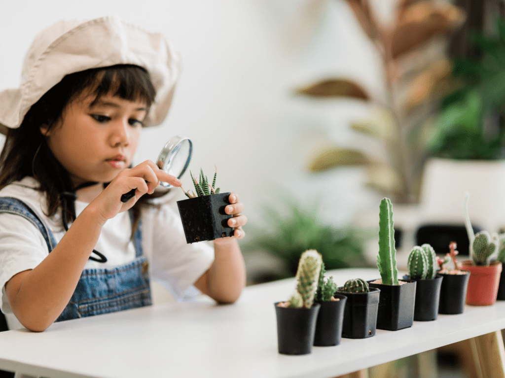 8 Ways That Montessori Classrooms Bring Nature Indoors