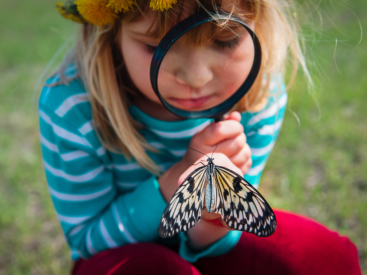 Fantasy vs. Reality in the Montessori Classroom