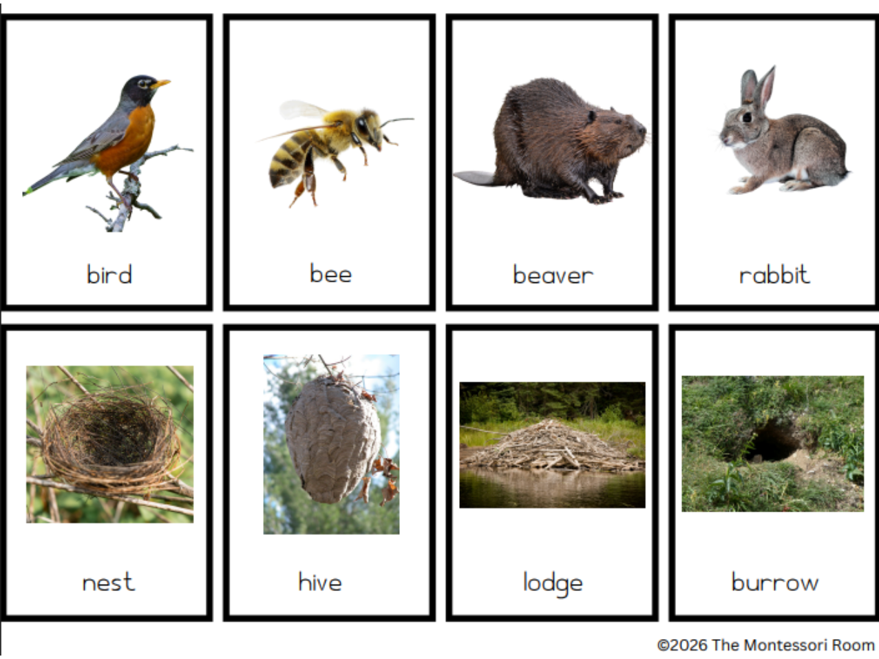 [FREE PRINTABLE] Animal Homes Matching Activity