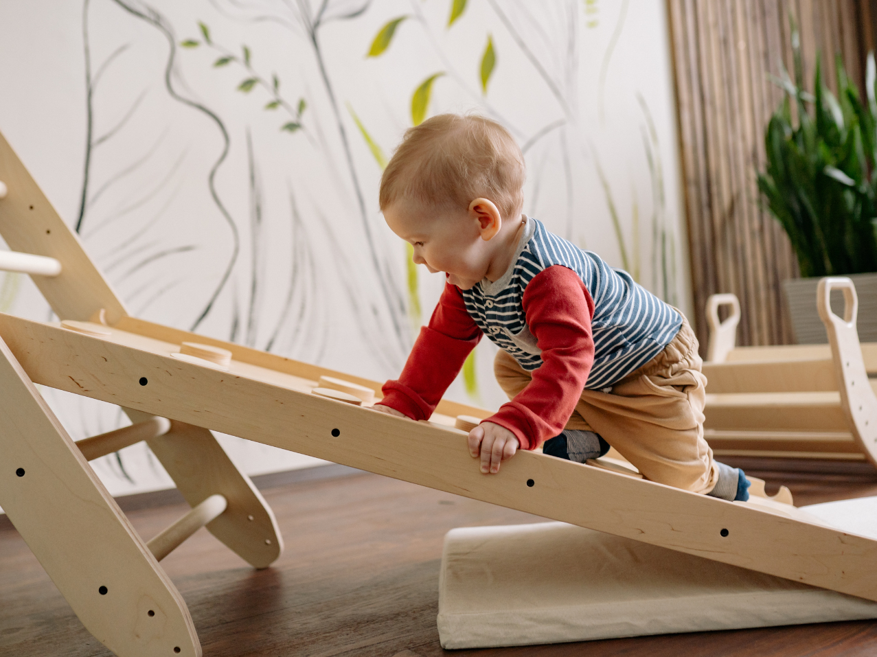 1st Plane of Development: Infancy or Early Childhood from Birth to Age 6