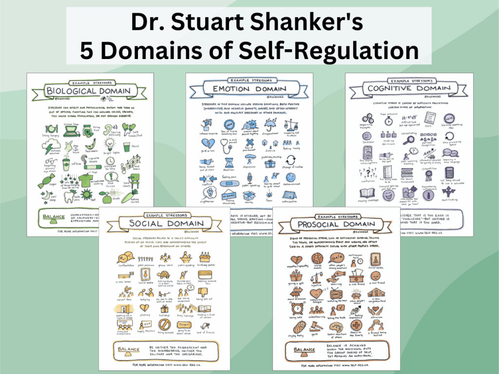 Dr. Stuart Shanker's 5 Domains of Self-Regulation - The Montessori Room