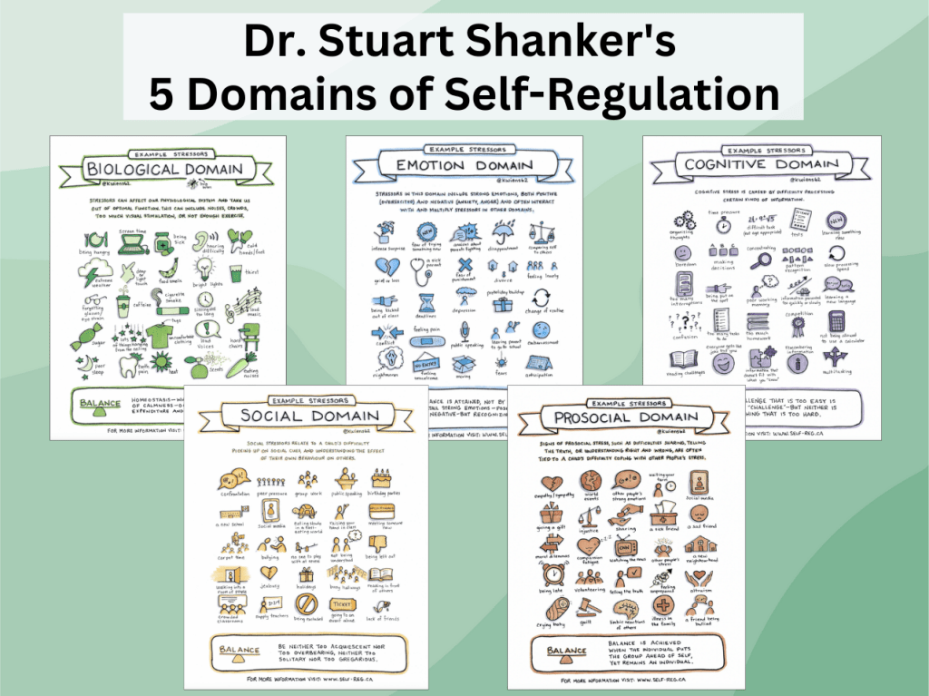 Dr. Stuart Shanker's 5 Domains of Self-Regulation