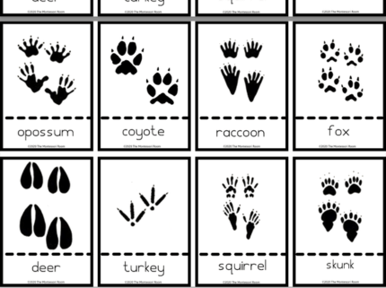 [FREE DOWNLOAD] Animal Track Matching